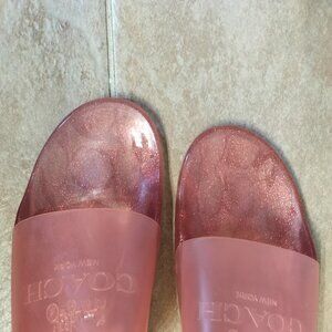 Pink Jelly Coach Slides